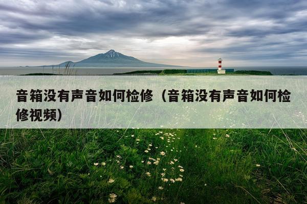 音箱没有声音如何检修（音箱没有声音如何检修视频）