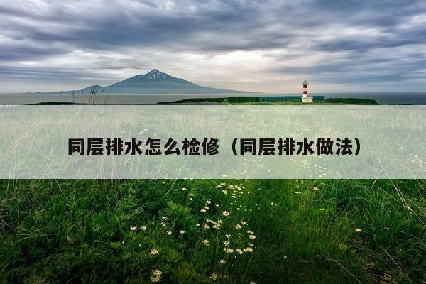 同层排水怎么检修（同层排水做法）