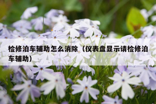 检修泊车辅助怎么消除（仪表盘显示请检修泊车辅助）