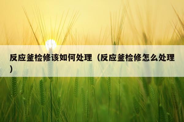 反应釜检修该如何处理（反应釜检修怎么处理）