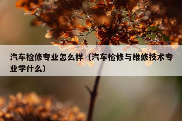 汽车检修专业怎么样（汽车检修与维修技术专业学什么）