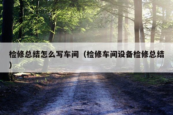 检修总结怎么写车间（检修车间设备检修总结）