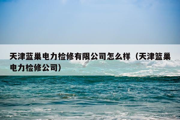 天津蓝巢电力检修有限公司怎么样（天津篮巢电力检修公司）