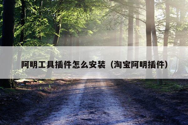 阿明工具插件怎么安装（淘宝阿明插件）
