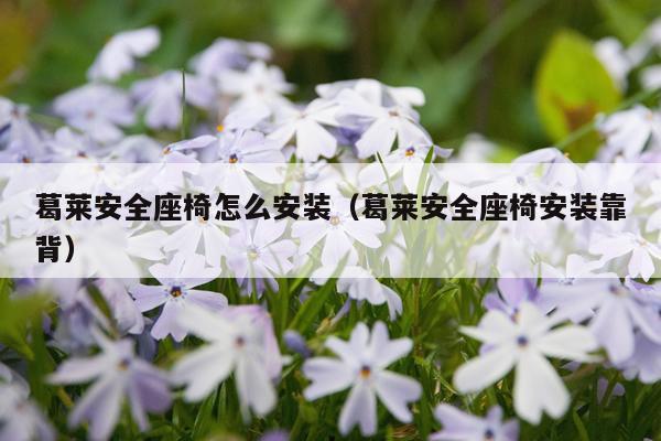葛莱安全座椅怎么安装（葛莱安全座椅安装靠背）