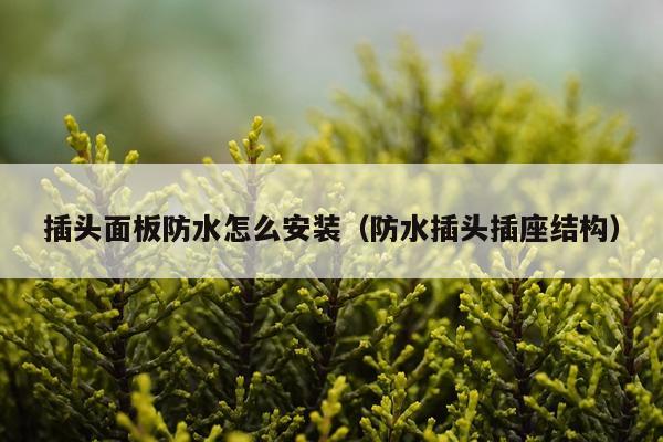 插头面板防水怎么安装（防水插头插座结构）