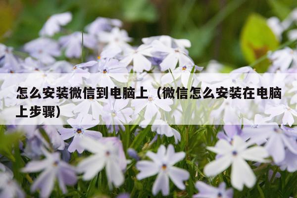 怎么安装微信到电脑上（微信怎么安装在电脑上步骤）