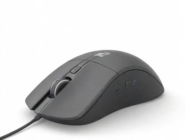 怎么免费安装office2003「怎么免费安装打印机驱动程序」