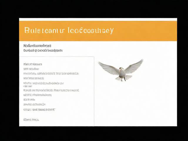 飞飞cms怎么安装「飞飞cms最新模板」